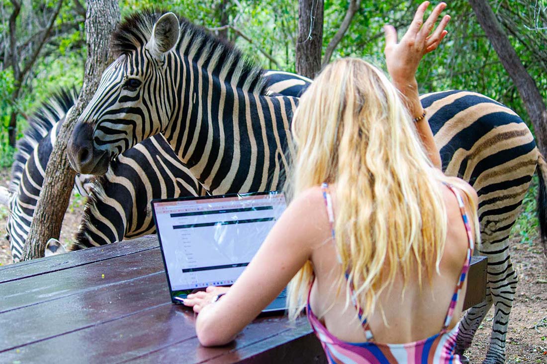 Shooing Away The Noisy Work Colleagues